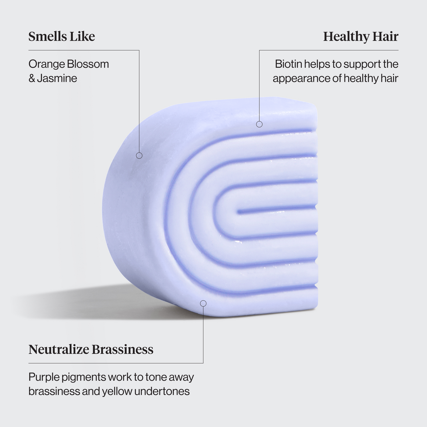 Lila Biotin Shampoo + Spülung Combo